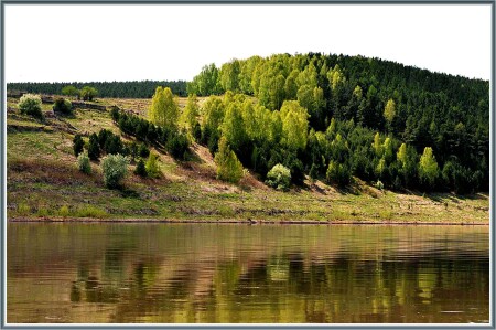 Чулым.Картина маслом