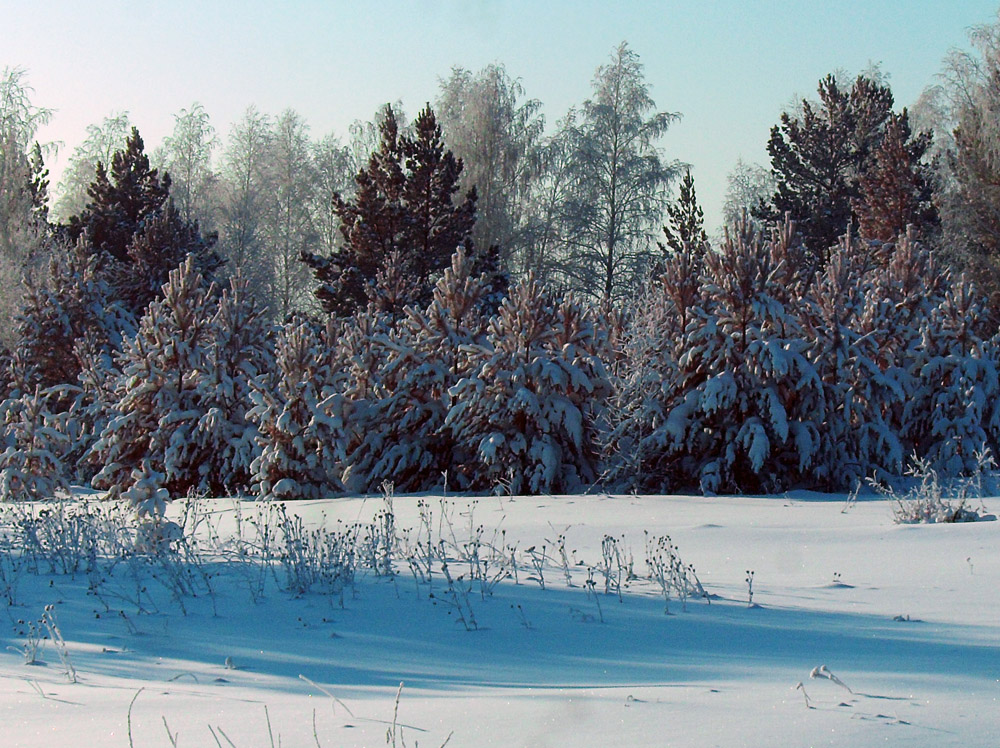 Декабрь