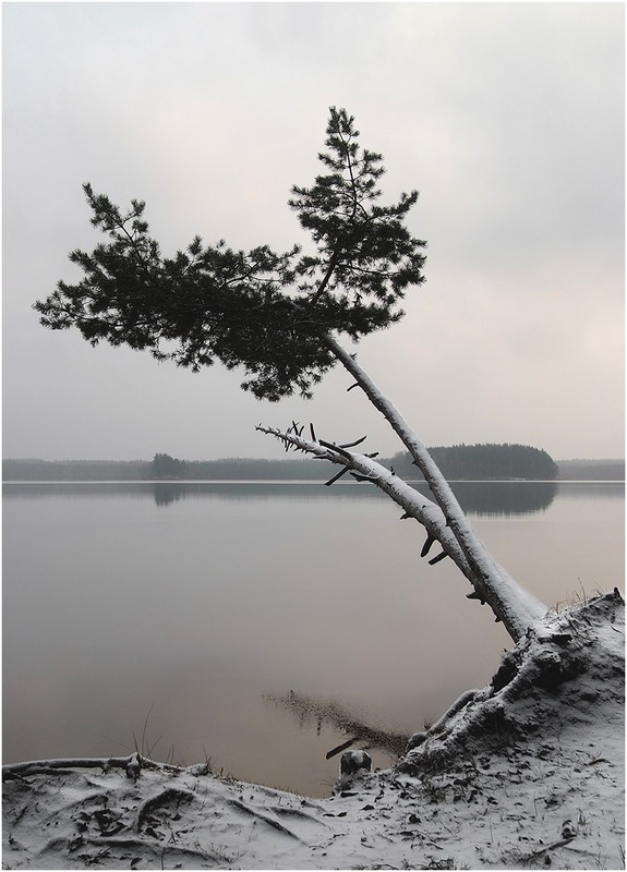 Предзимье.