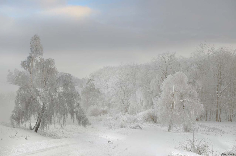 15 декабря