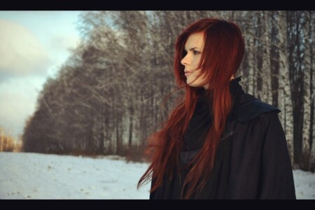 Зимний странник