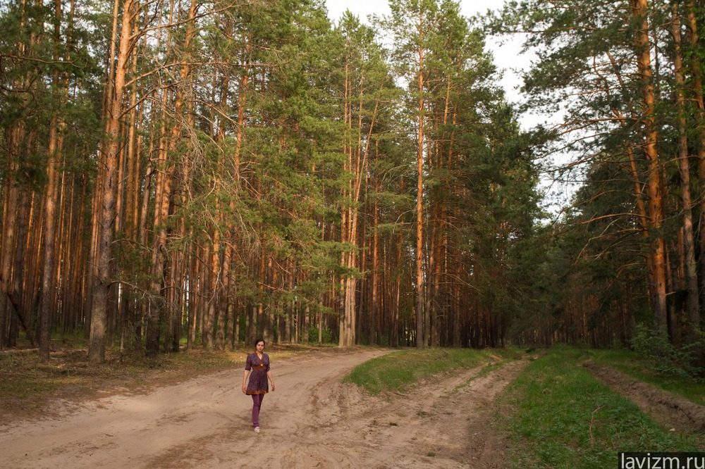 Екатерина Лебедева, сосновый лес Лавизм