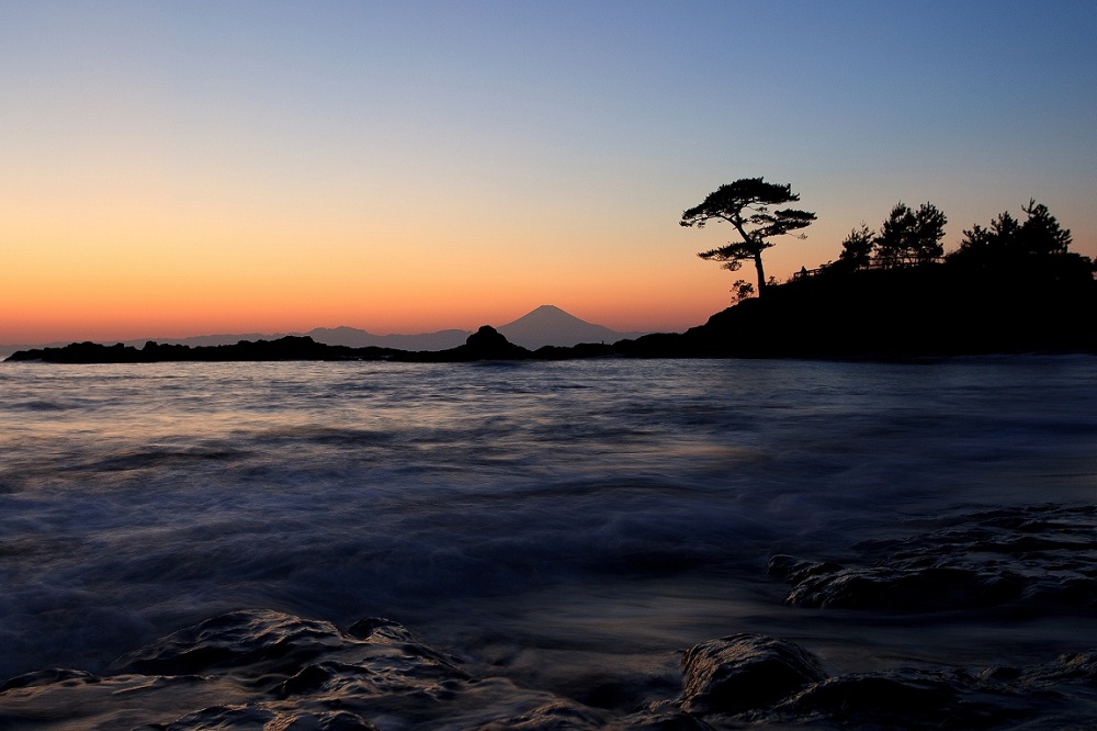 Mt.Fuji &amp; Pine Tree