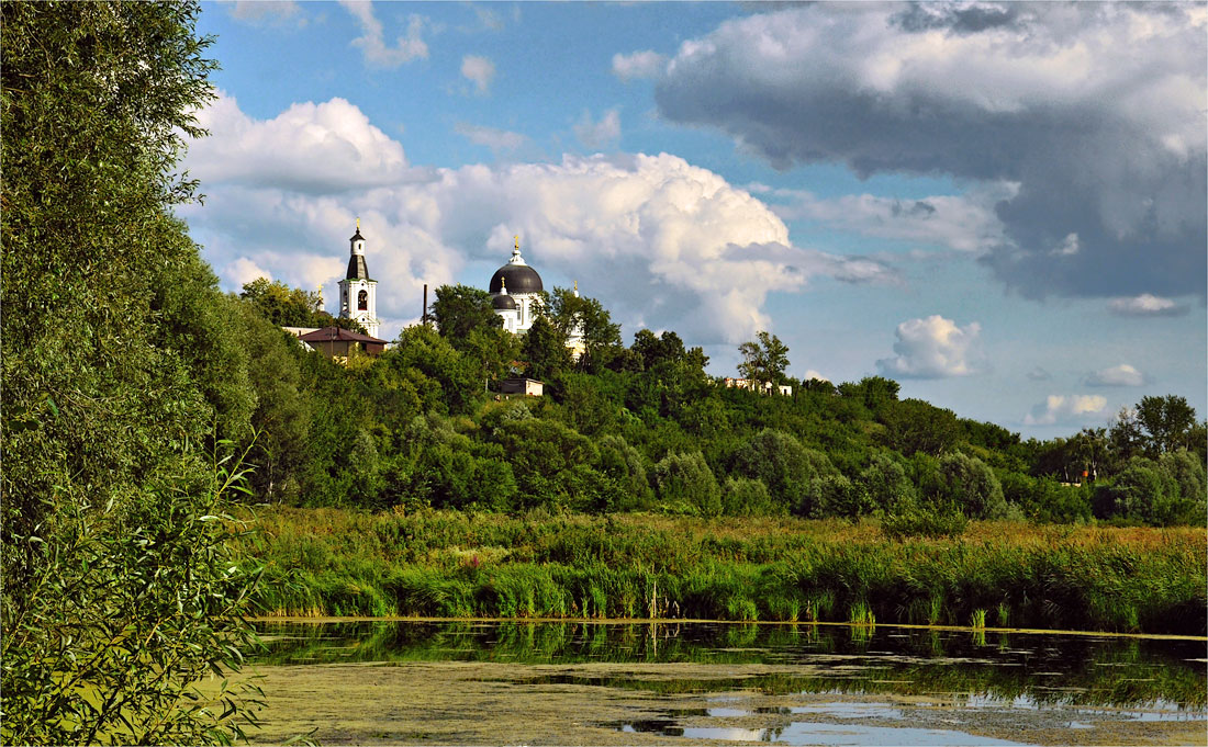 Летняя зарисовка. Июль.