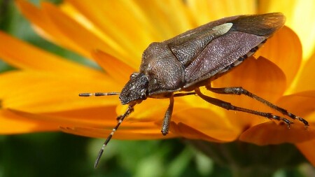 Вот такой Я на желтом фоне