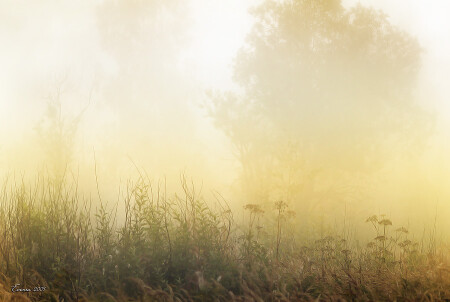 Река уже близко....