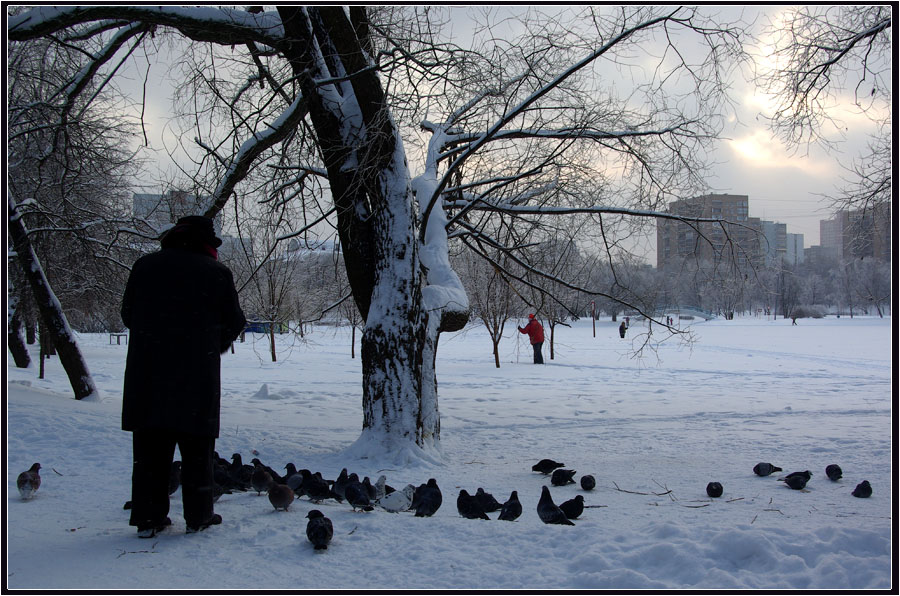 В зимнем парке