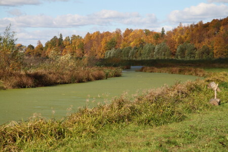 Где то на просторах Марий Эл