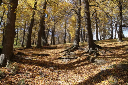 Где то на просторах Марий Эл 2