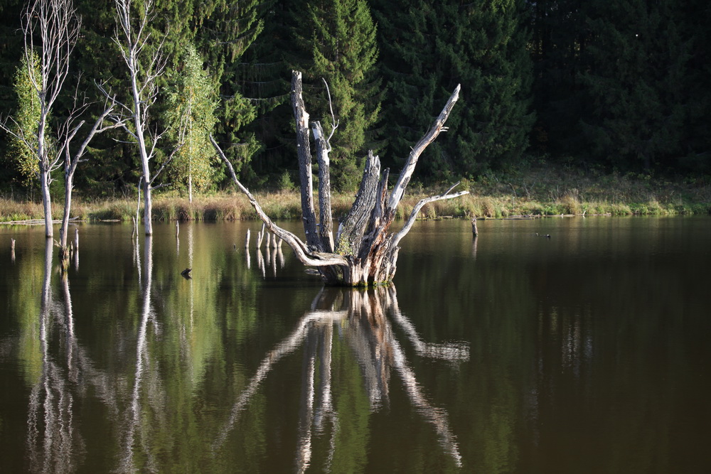 Я водяной я водяной, ни кто не водится со мной, одни ...