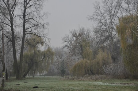 1 день зимы 2