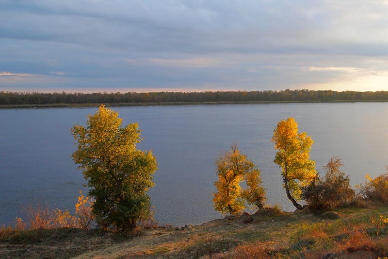 золото осени