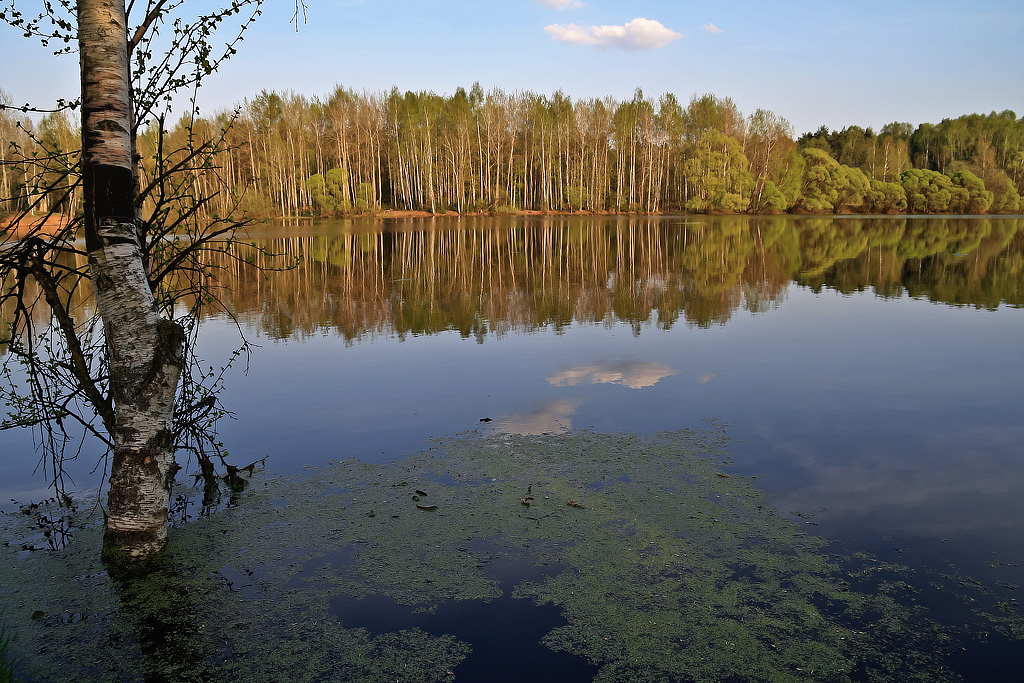 Мысли о весне