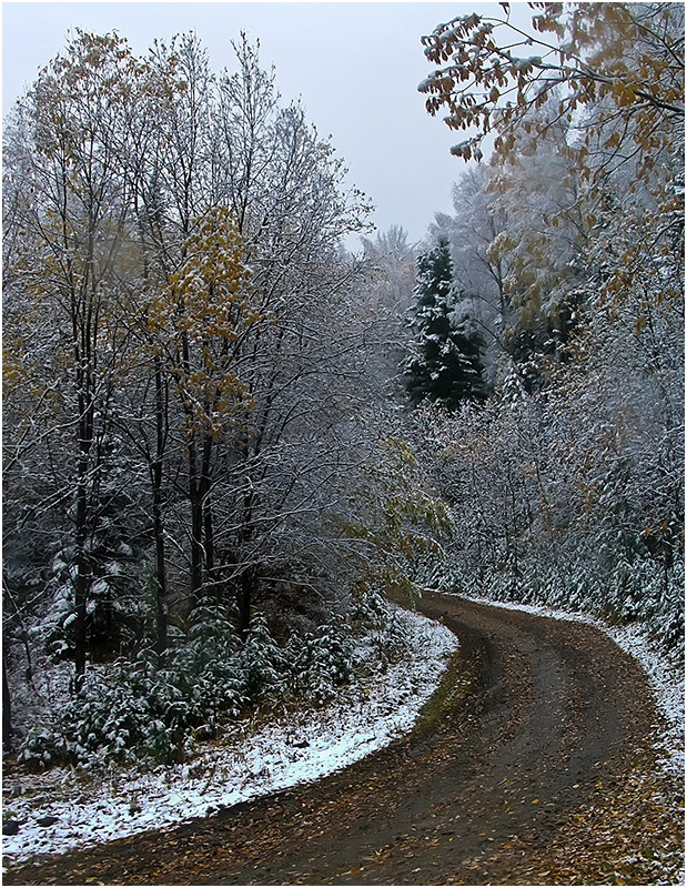 Зимняя осень