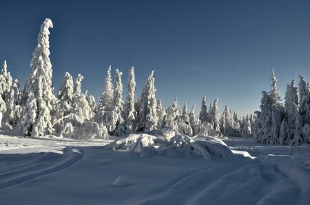 Зимний пейзаж