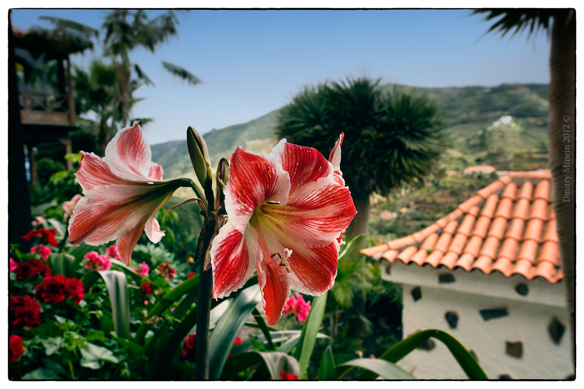 La Gomera