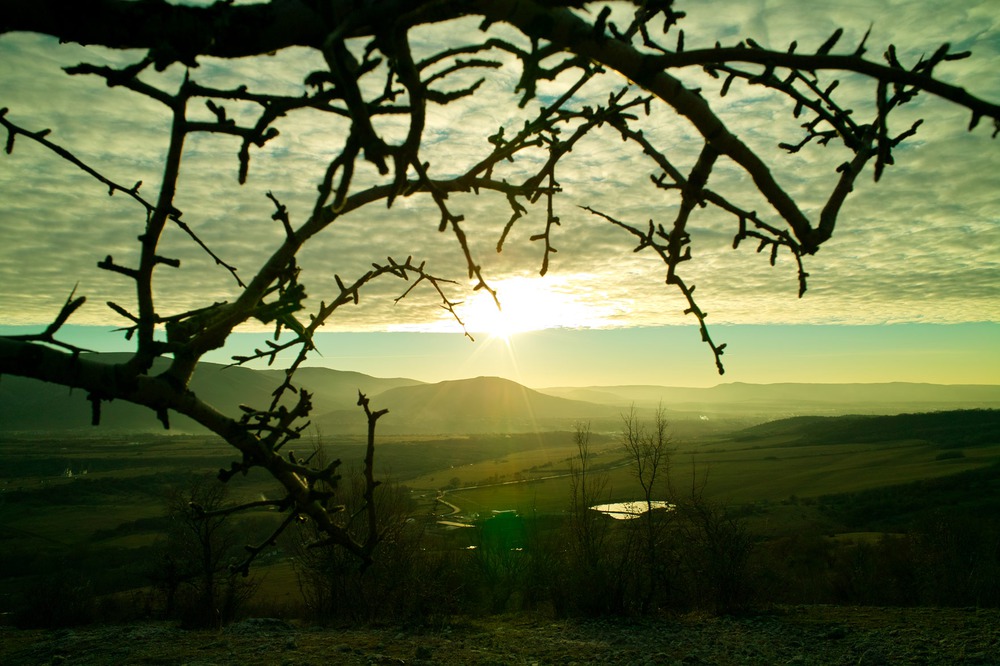 в лучах заката...