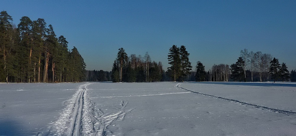 Вечерняя прогулка