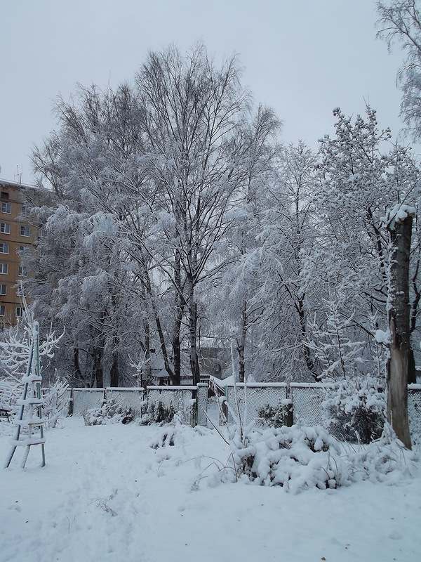 первый день зимы