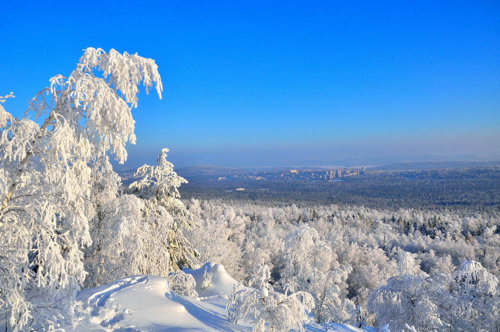 Перспектива