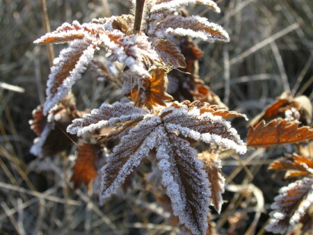 рассвет в ноябре 2