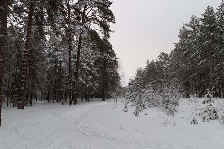 Перекресток