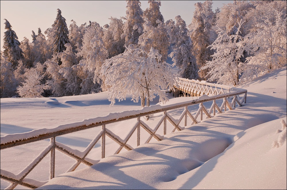 Зима в парке...