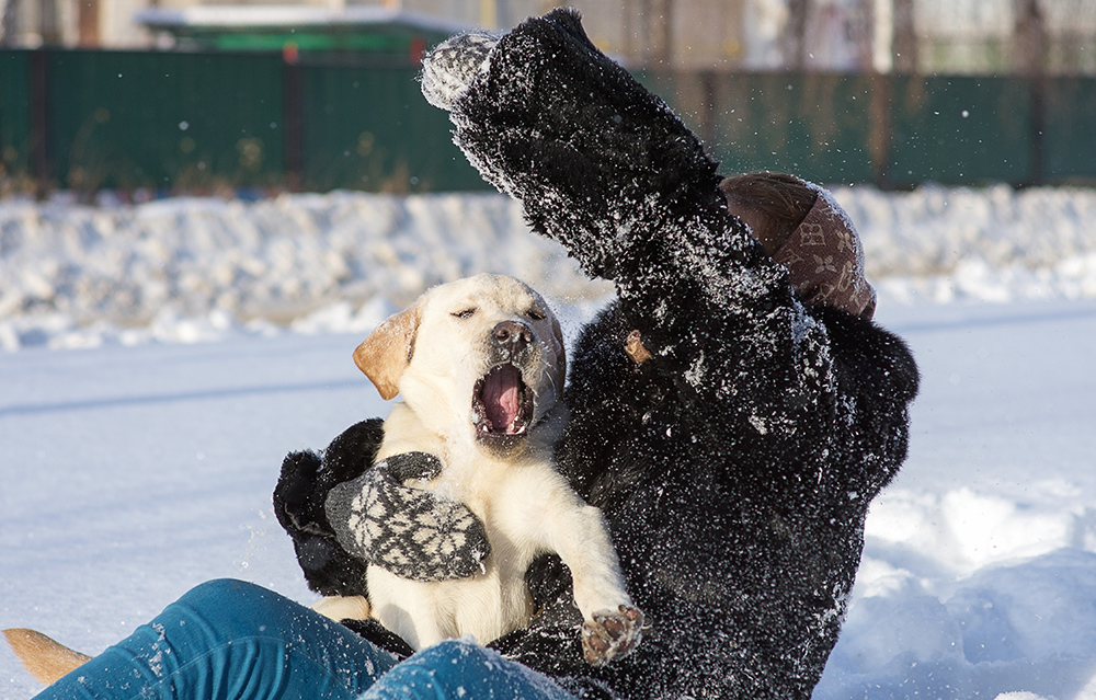 щас спою)