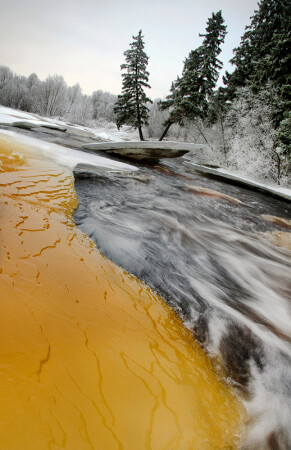 как река ёлки катала