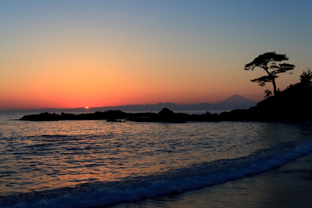 Sunset &amp; Mt.Fuji &amp; Pine Tree