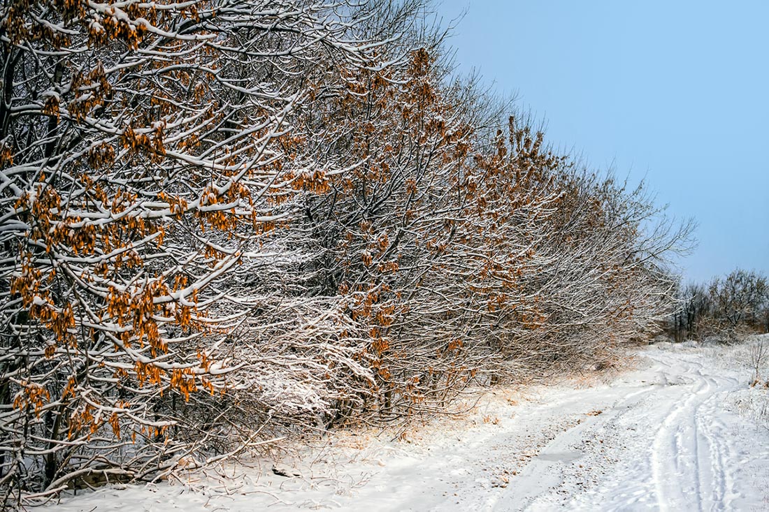 На грани осени и зимы