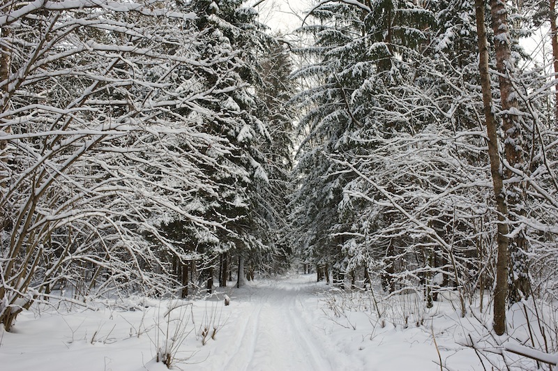 Рождестенно