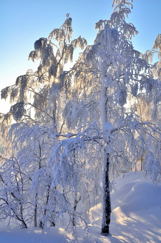 Все белое