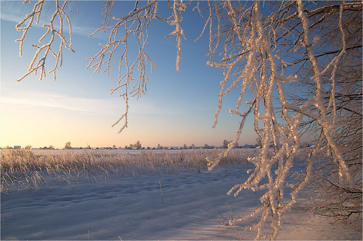 Первые лучи