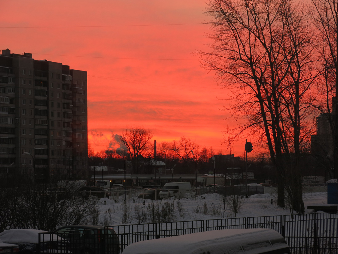 Рассвет в Коломягах