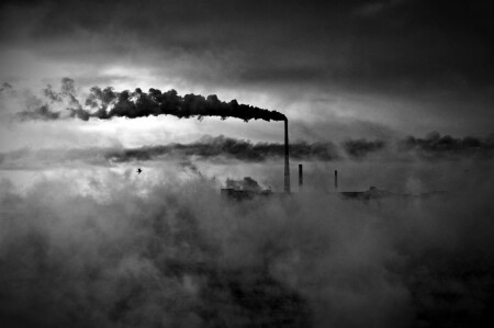 Буревестник...