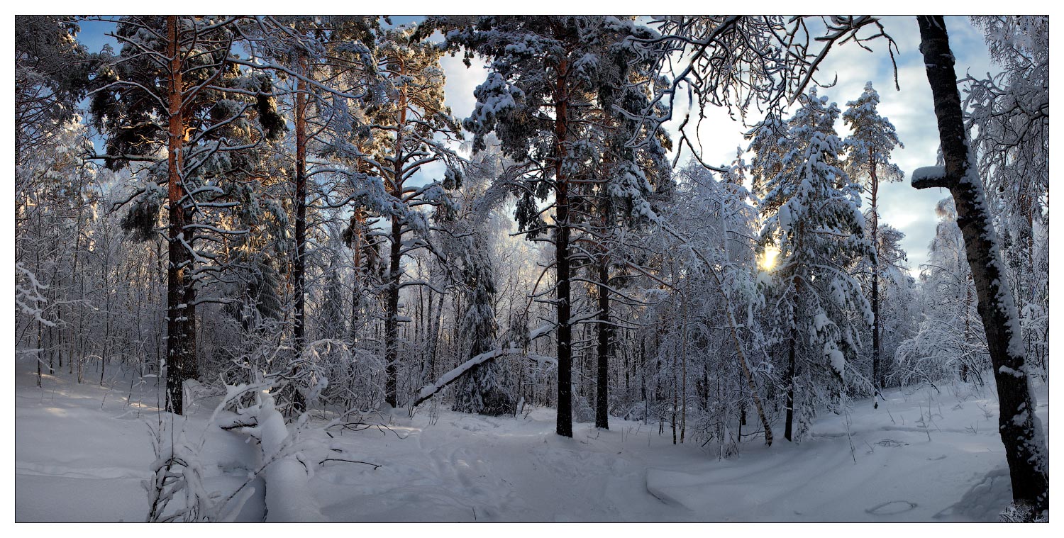 Зимняя прогулка