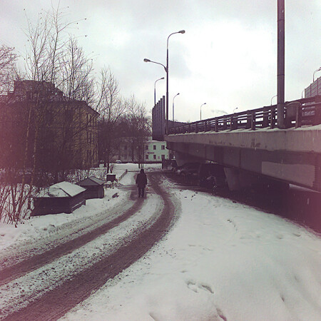 московская заурядная