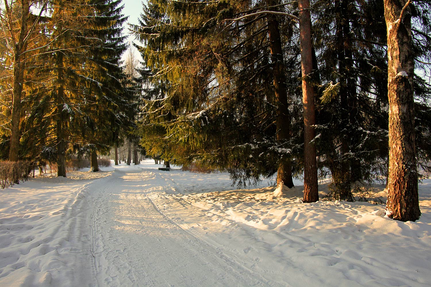 Морозное утро