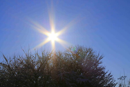 зимнее утро