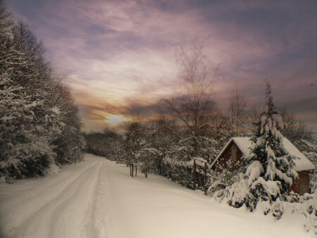У леса на опушке