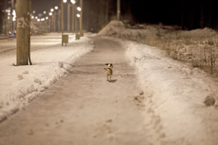 Бегу домой!