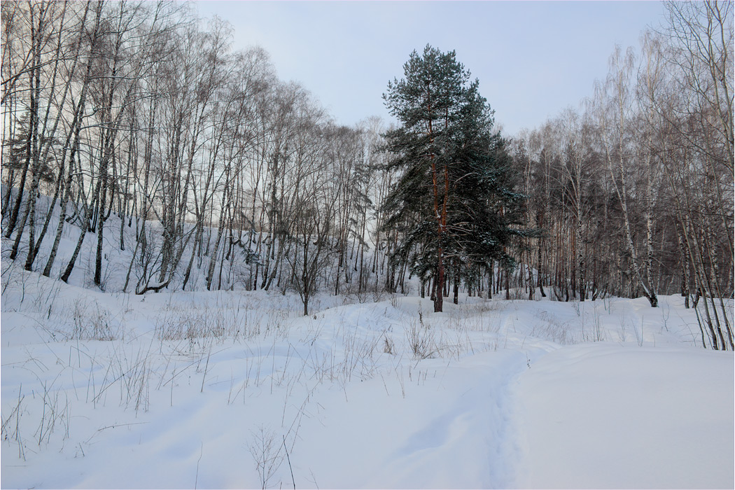 Зимний пейзаж