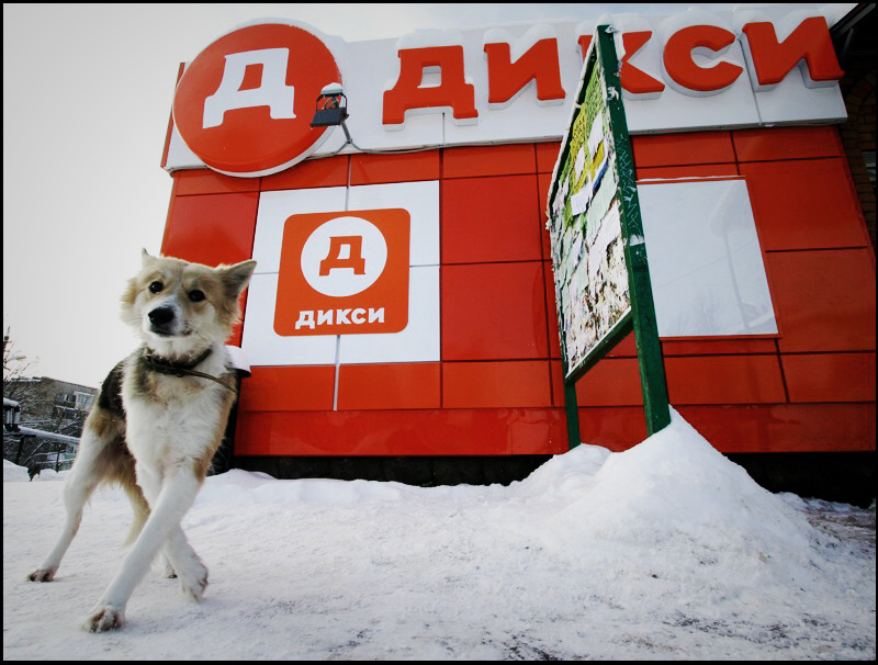 Собачий вальс