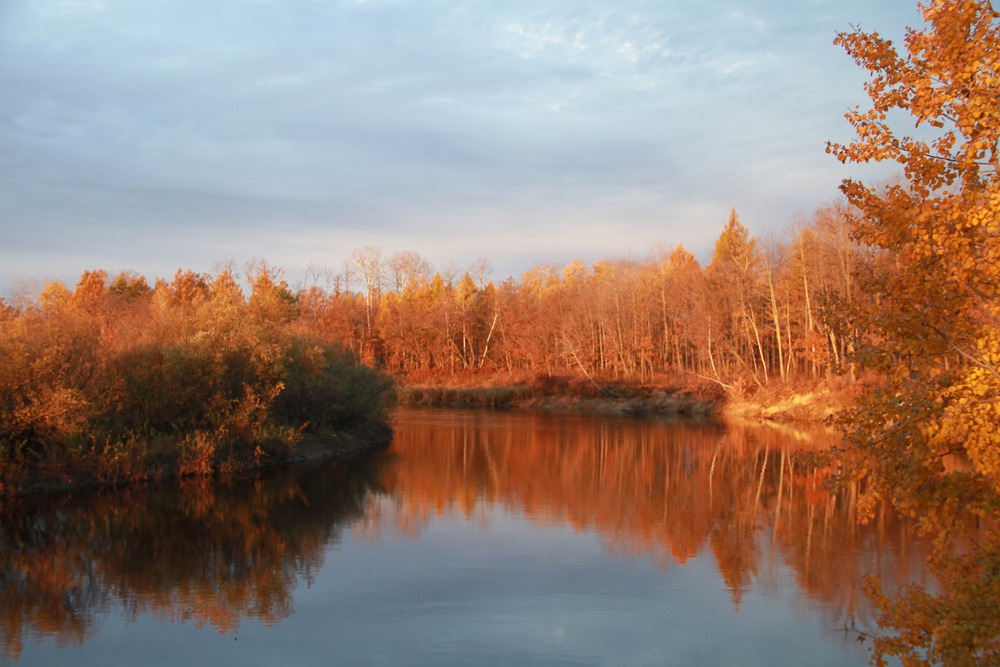 Золотая осень