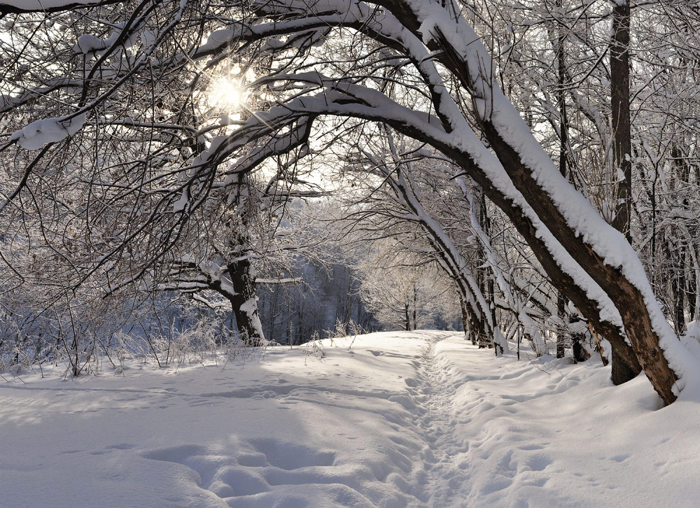 В зимнем парке.