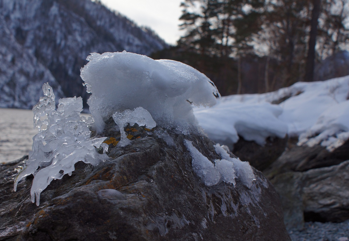 вода ушла,&quot;зверьё&quot; осталось