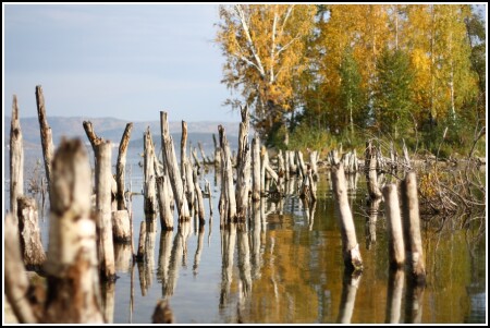 Вода отступила