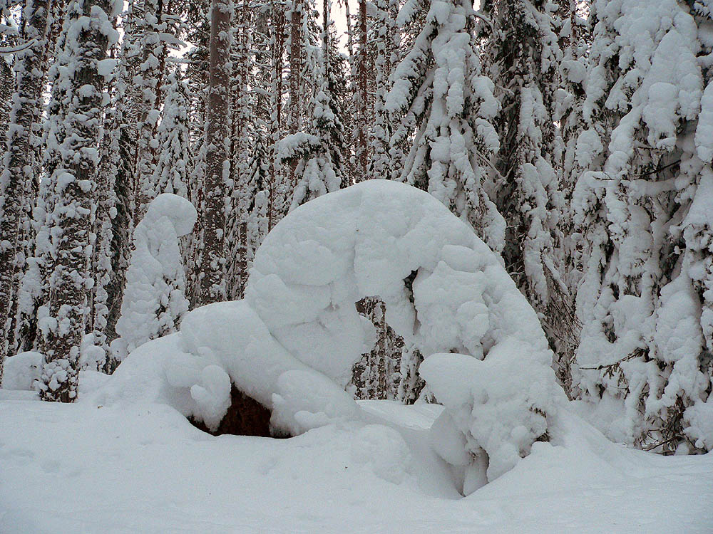 Скорбь