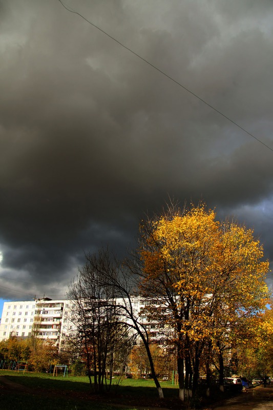 Осень в городе.